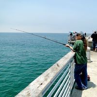 Profile Picture of Laura Carroll Doyle (@laura-carroll-doyle) on Quora