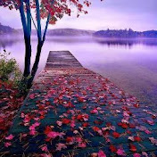 Profile Picture of Reshma Shetty (@reshmashettysmailbox) on Youtube