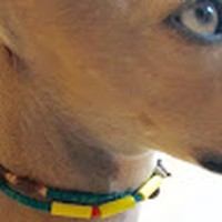 Profile Picture of Dawn Bird (@dawn-bird-40) on Quora