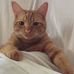 Profile Picture of Paul K. Julian (Paul K. Julian) (@paul.k.julian) on Facebook