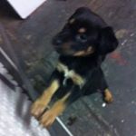 Profile Picture of George Calderon (@georgecalderson) on Instagram