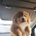 Profile Picture of Debbie Grant (@grantdqdebbie) on Instagram