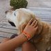 Profile Picture of Rotem Ben Shimol (@rbenshimol) on Pinterest