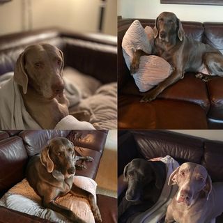 Derek Flynt - Facebook Profile Picture of Derek Flynt (@derek.flynt) on Facebook