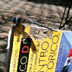 Profile Picture of Leo Curtis (@leo.curtis.7) on Instagram