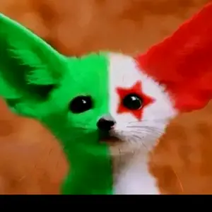 Profile Picture of رضوان احمد (@abouidrisse02) on Tiktok