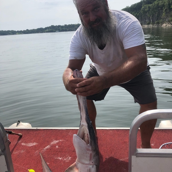 Profile Picture of Neil Haynes (@neildoddy) on Poshmark