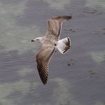 Profile Picture of Brian Fernee (@brian.fernee) on Instagram