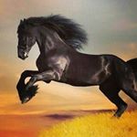 Robert Ireland - Instagram Profile Picture of Robert Ireland (@robertybob1952) on Instagram