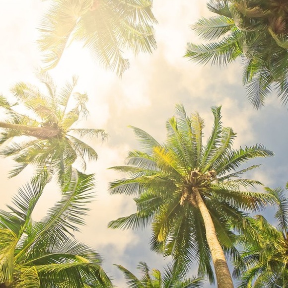 Profile Picture of Sydney Jasinski (@sej77) on Poshmark