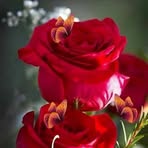 Profile Picture of D. Pagal (@d.pagal.100095) on Facebook