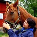 Profile Picture of Hanna Haglen Steirud (@haglen_steirud) on Instagram