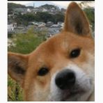 Profile Picture of Nathan Heidrich (@nathan.heidrich.50) on Facebook