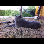 Profile Picture of Fernando Benito (@piratilla78) on Instagram