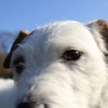Profile Picture of Robin Cartwright (@expatbore) on Flickr