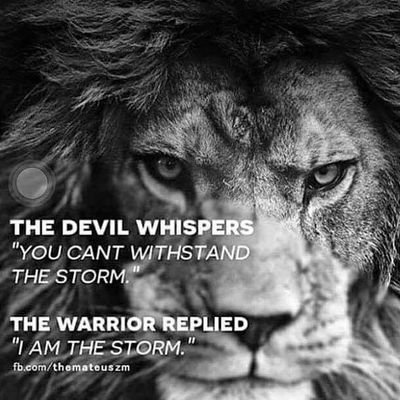 Profile Picture of Julian Naidoo (@Julian_Naidoo1) on Twitter