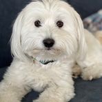 Profile Picture of Brenda Schneider (@Brenda-Schneider) on Facebook