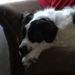 Profile Picture of Heather Wilkins (@heatherwilki73) on Pinterest