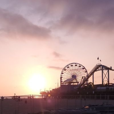 Profile Picture of FREE JOE THE TIGER KING (@CBDMonkey) on Twitter