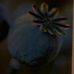 Profile Picture of Robert Holderbaum (@robert.holderbaum.7) on Facebook