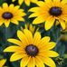 Profile Picture of Elmer Hiebert (@elmer.hiebert.106) on Facebook