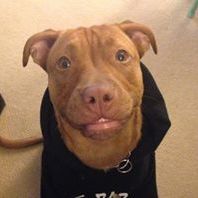 Profile Picture of Cody Loggins (@codyseanloggins) on Pinterest