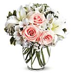 Mitchell Snyder - Instagram Profile Picture of Mitchell Snyder (@b17mitch) on Instagram