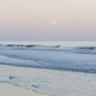 Profile Picture of Larry Dellinger (@larry.dellinger) on Instagram