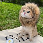 小武 - Instagram Profile Picture of 小武 (@_martin_huang_) on Instagram