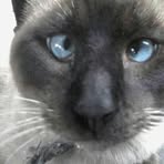 Profile Picture of Herminio Alonso (@herminio.alonso.169) on Facebook