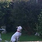 Profile Picture of Joy Swainson (@joy_swainson_may_2016) on Instagram