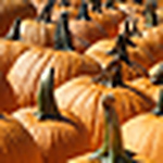 Profile Picture of Dessy Vanleer (@dessy vanleer) on Flickr