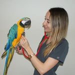 Profile Picture of Iris Domínguez Rodríguez (@iris.vetexoticos) on Instagram