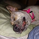 Profile Picture of Jonathan Brinkman (@brinkmanjonathan) on Instagram