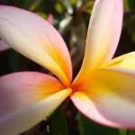 Profile Picture of Cheryl Galloway (@chergal_) on Instagram