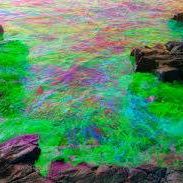 Profile Picture of Alvaro Miguel (@Alvaro-Miguel) on Facebook