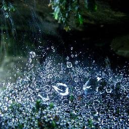 Profile Picture of Federico Manzano (@federicoalcor) on Twitter