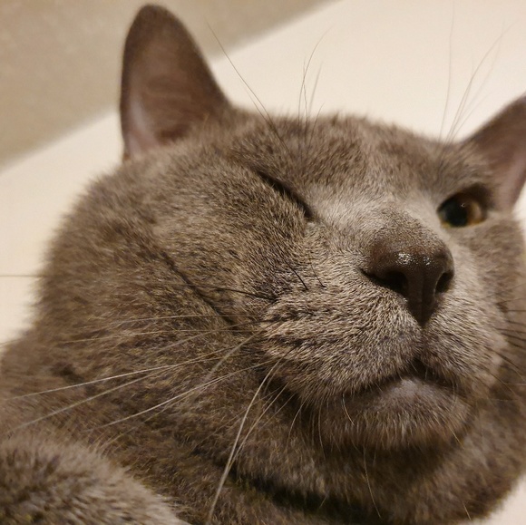 Profile Picture of Kena Egerer (@kenaegerer) on Poshmark