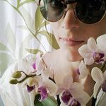 Profile Picture of Kelly June Mitchell (@intrepid_hermit) on Instagram