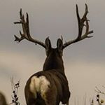 Profile Picture of Raymond Silcox (@raymondsilcox) on Instagram