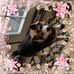 Profile Picture of Al Pruitt (@al.pruitt.148) on Facebook
