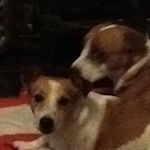 Profile Picture of Alex Edward Hurrrell (@alex__hurrell__) on Instagram