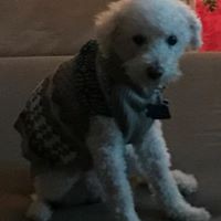 Profile Picture of Cindy Guidi Detres (@cindy-guidi-detres) on Quora