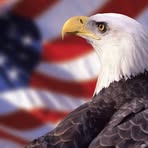 Profile Picture of Al Sneller (@al.sneller.54) on Facebook