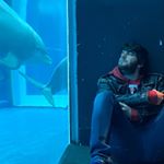 Profile Picture of Nicholas Galli (@bolha96) on Instagram