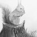 Profile Picture of Samuel Yoder (@esamuelyoder) on Pinterest