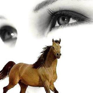 Profile Picture of AmOola Addasi (@amoola.addasi) on Facebook