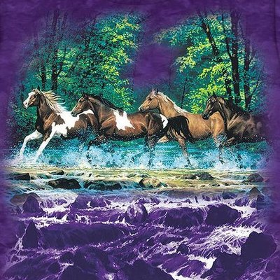 Profile Picture of Crystal Trahan (@c_hickok) on Twitter