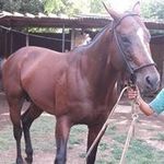 Profile Picture of Kevin Riedel (@riedel3489) on Instagram