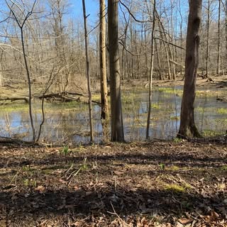 Profile Picture of Owen whiting (@owen__whiting__) on Instagram